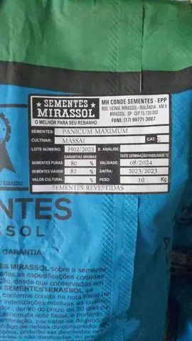 Semente de capim Massai revestida 10kg Mirassol - Nova/Loja - Foto 3