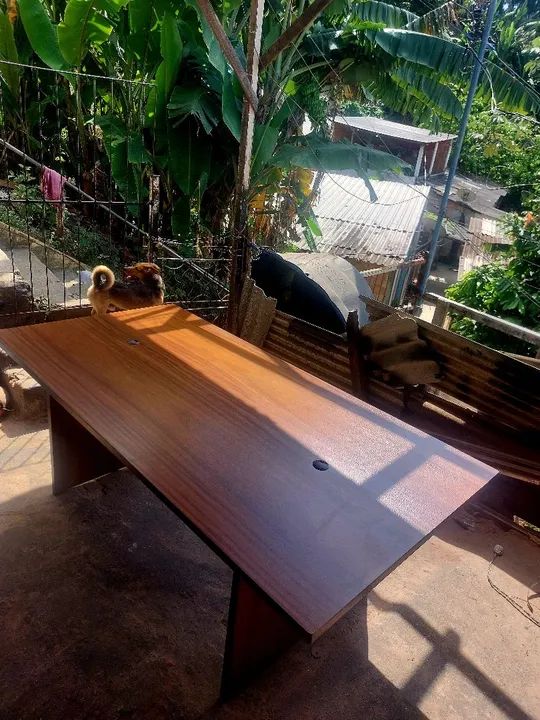 Mesa 65566198862593120