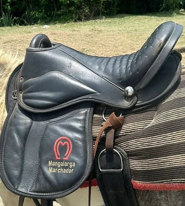 Sela Mangalarga Marchador