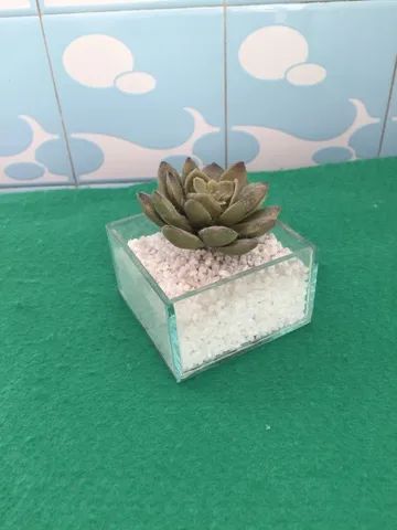 Mini vaso de planta artificial suculenta.