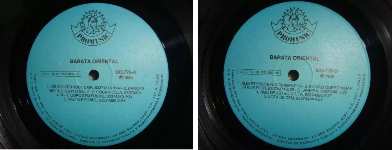 Lp A BARATA ORIENTAL 1989 Br com Encarte - Rock Gaúcho em Excelente Estado - Foto 6