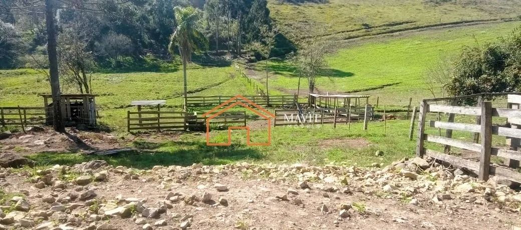 Chácara 55.000m² com Casa, Galpão, Açudes, 40.000m² com área de lavoura - Anita Garibaldi  - Foto 4