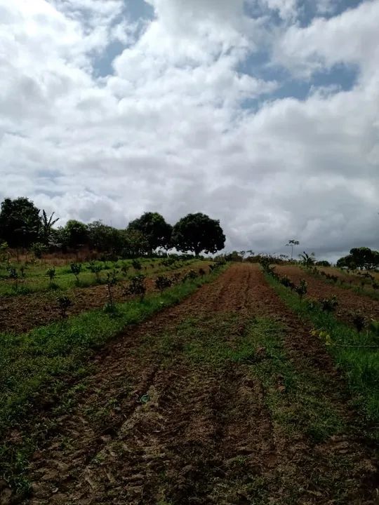 foto - Estância - 