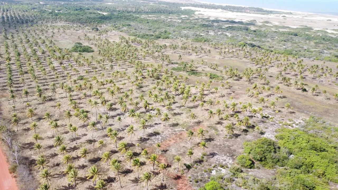 Praia de Zumbi (RN), 278 Ha. Local Excelente p/ Empreender