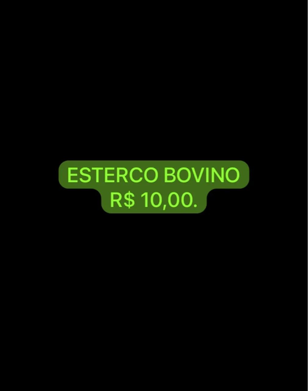 Esterco Bovino