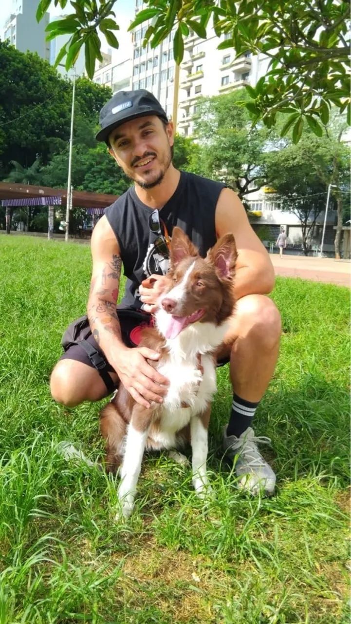Passeador de cães (Dog Walker)