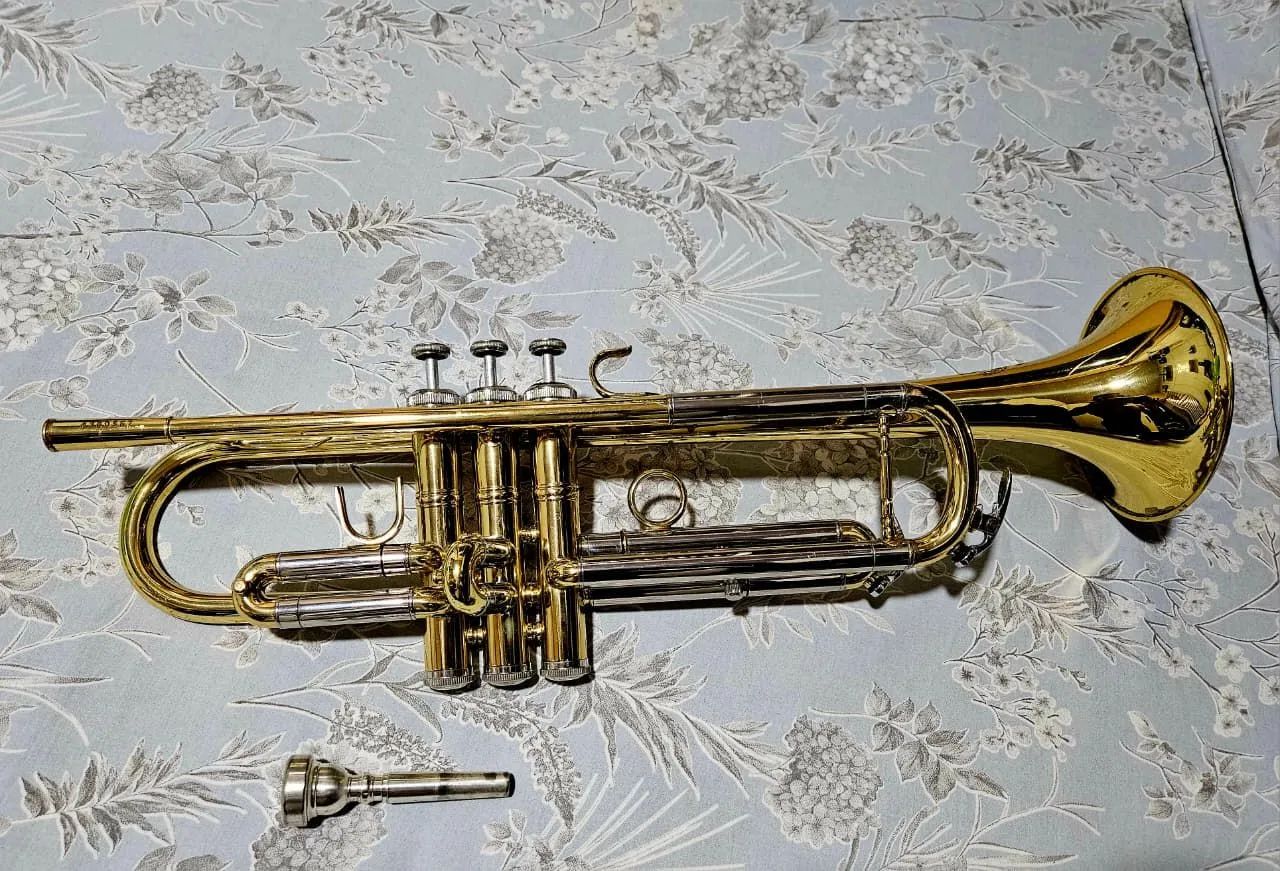 Trompete eagle - Foto 4