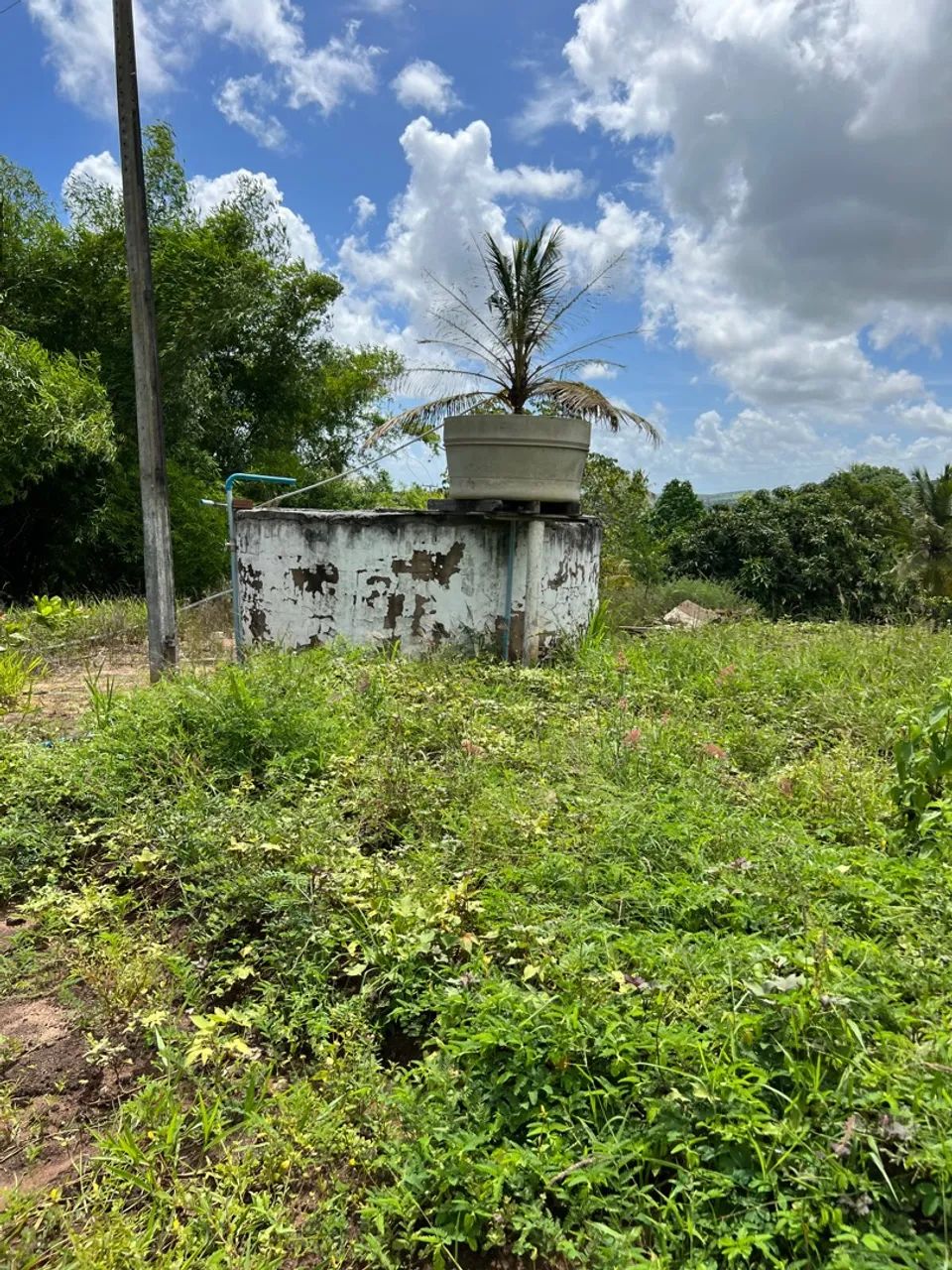 Área com 7 Hectares à Venda - Glória do Goitá-PE - Foto 3