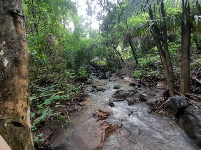 Casa na serra de Maranguape p/ até 50 pessoas - Lindas vistas