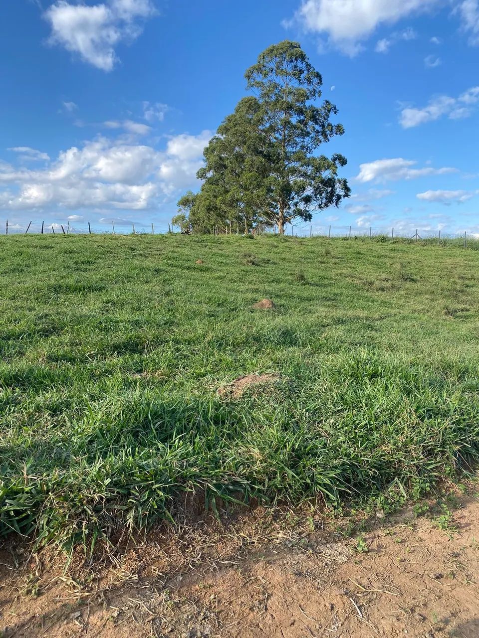 Seu espaço ideal pra chácara ou casa de campo em Igaratá - Foto 4