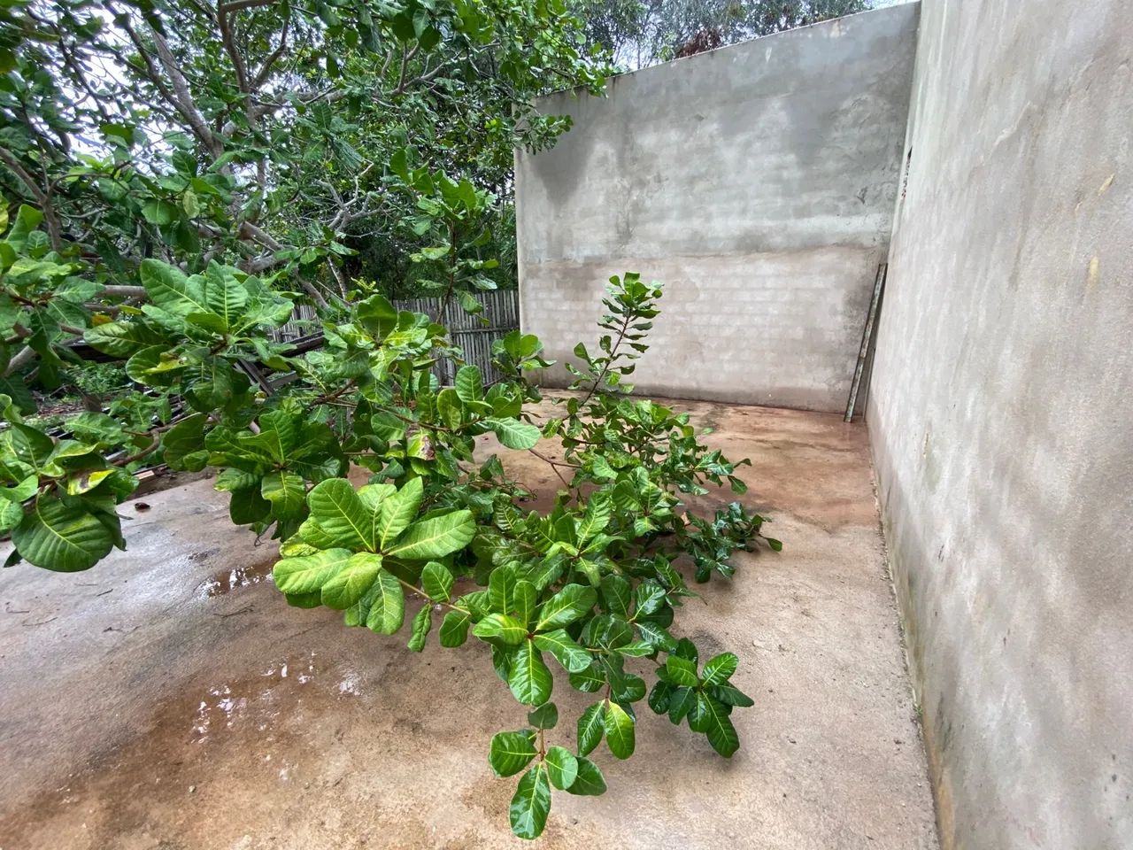 Galpão em fase final de construção  - Foto 4