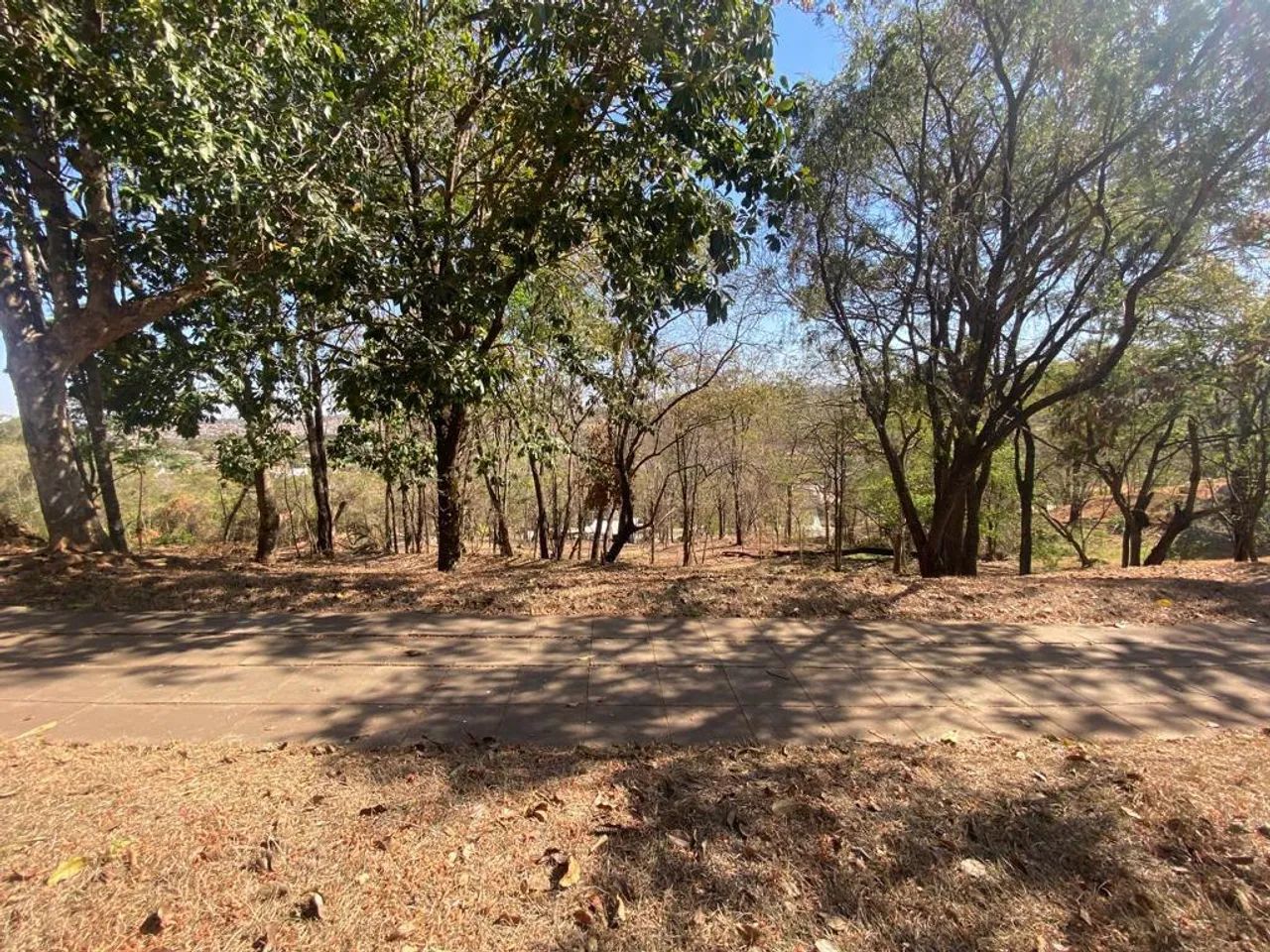 Lote/Terreno para venda possui 3476 metros quadrados em Residencial Aldeia do Vale - Goiân - Foto 5