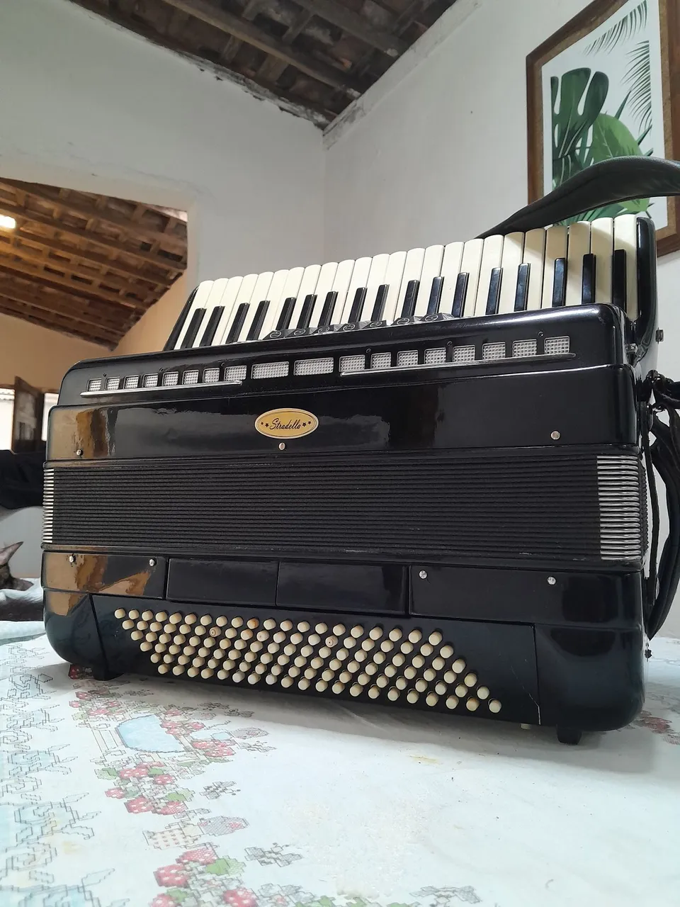 SONFONA STRADELLA 120BAIXOS