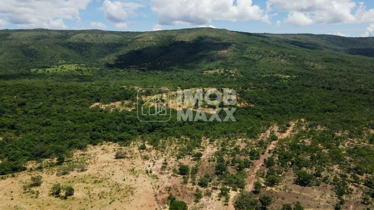 Fazenda Buritis 333,65 Ha Investimento Muita Água - Foto 11