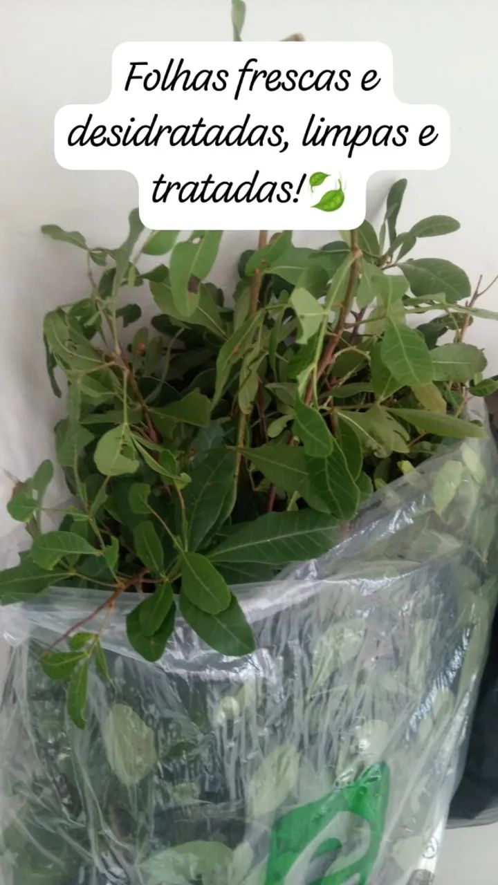 Banho de descarrego  - Foto 2