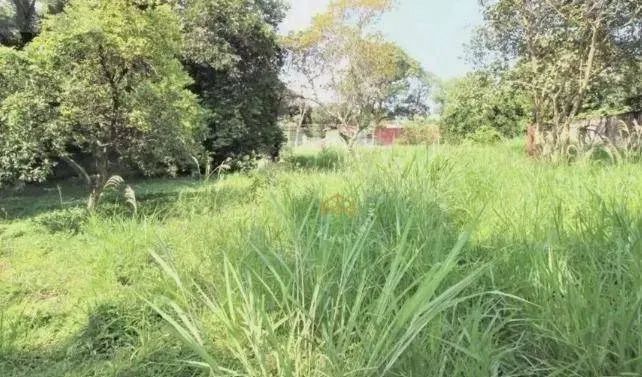 Terreno à venda, 2250 m² - Chácara Belvedere - Campinas/SP - Foto 3