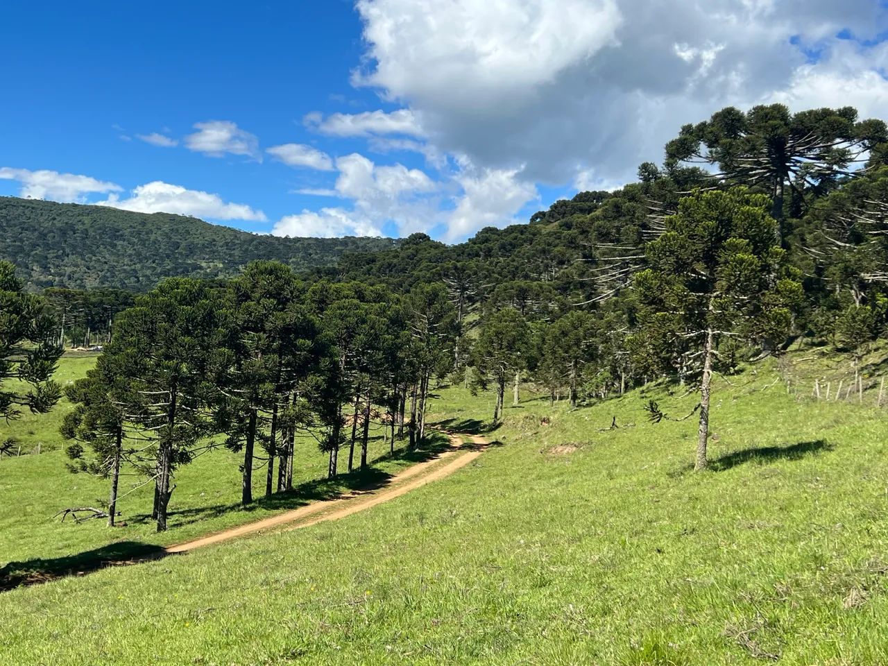 Fazenda em Urubici - 131 hectares  - Foto 6