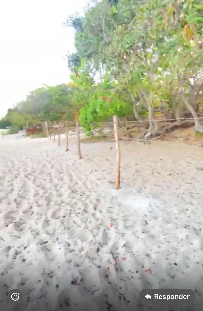 Vendo Terreno na Lagoa da Jijoca de Jericoacoara  - Foto 3