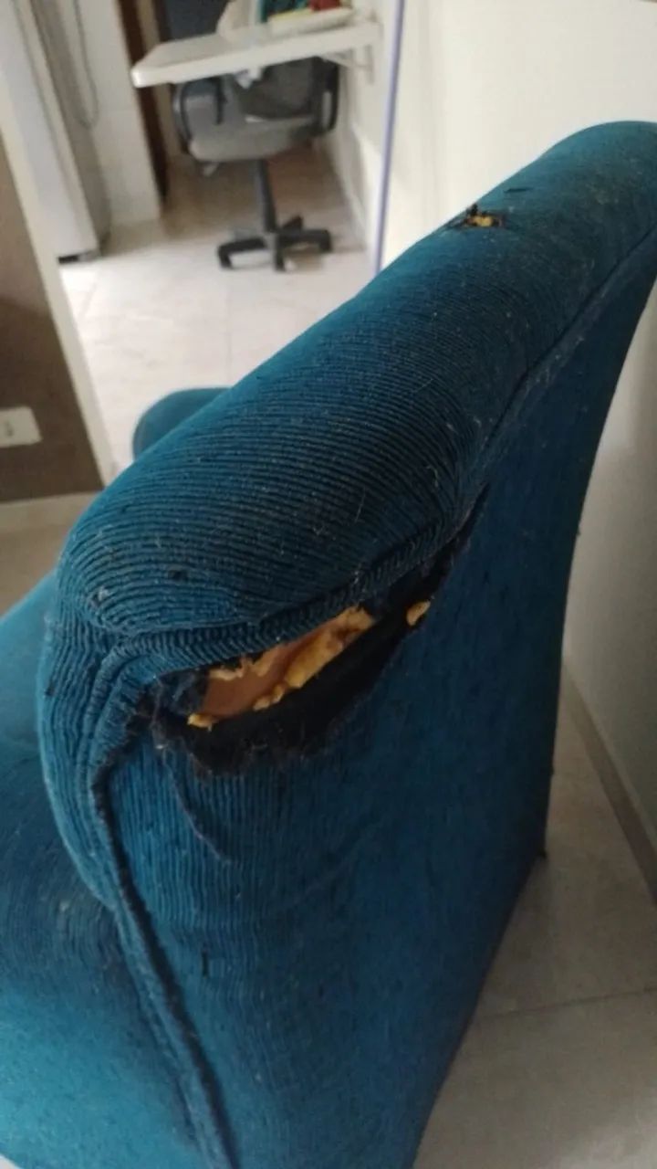 Poltrona Azul Vintage - Muito Confortável e Firme! - Foto 4