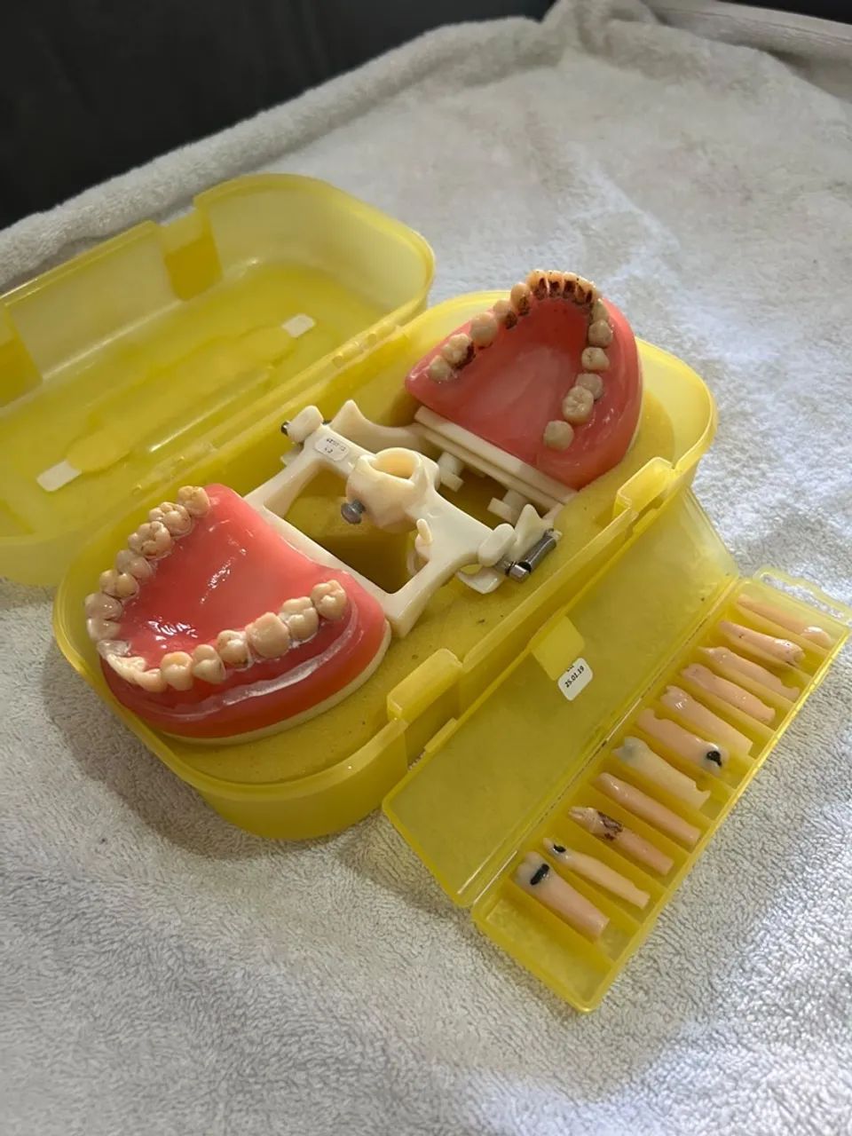 Manequim de dentistica  - Foto 4