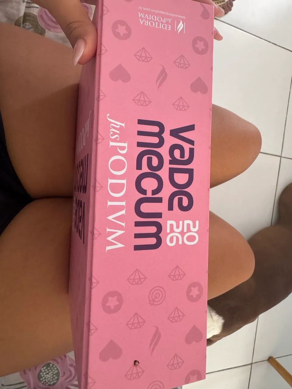 VADE MECUM JUSPODVIM ROSA 2026 - Foto 3
