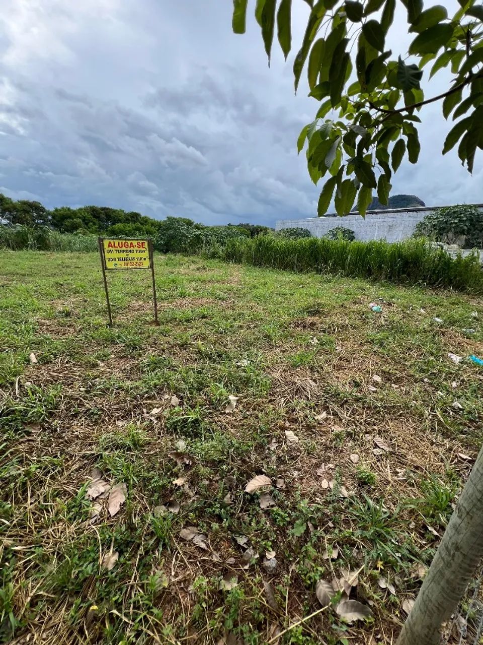 Terreno 700 m2 - Foto 4