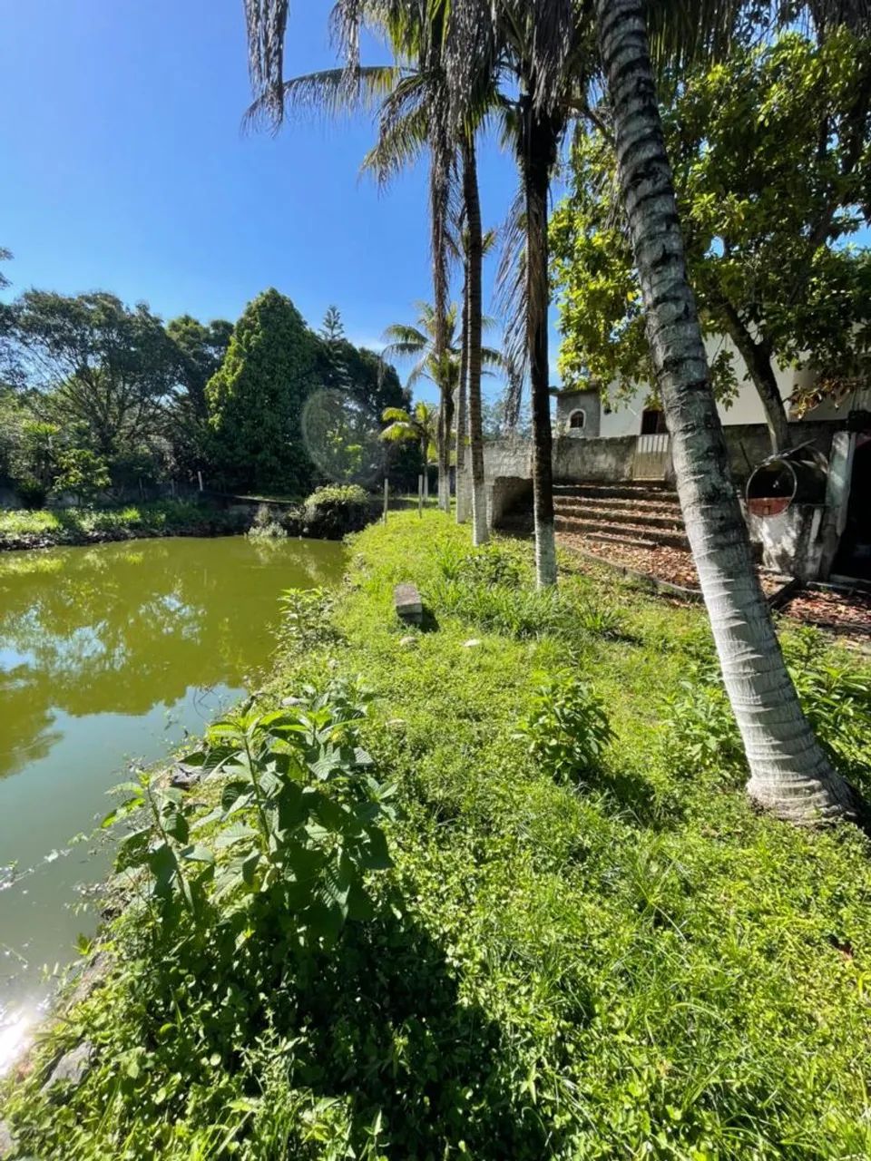 Vale das pedrinhas Guapiaçu  - Foto 4