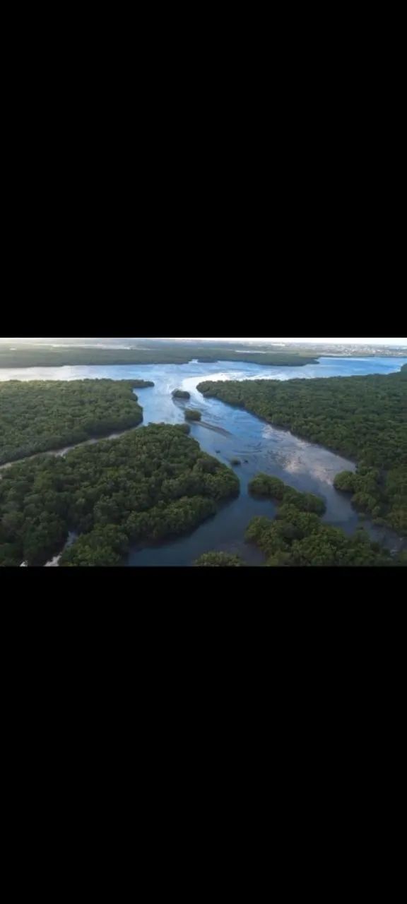 Drone dji mini 4k  - Foto 2