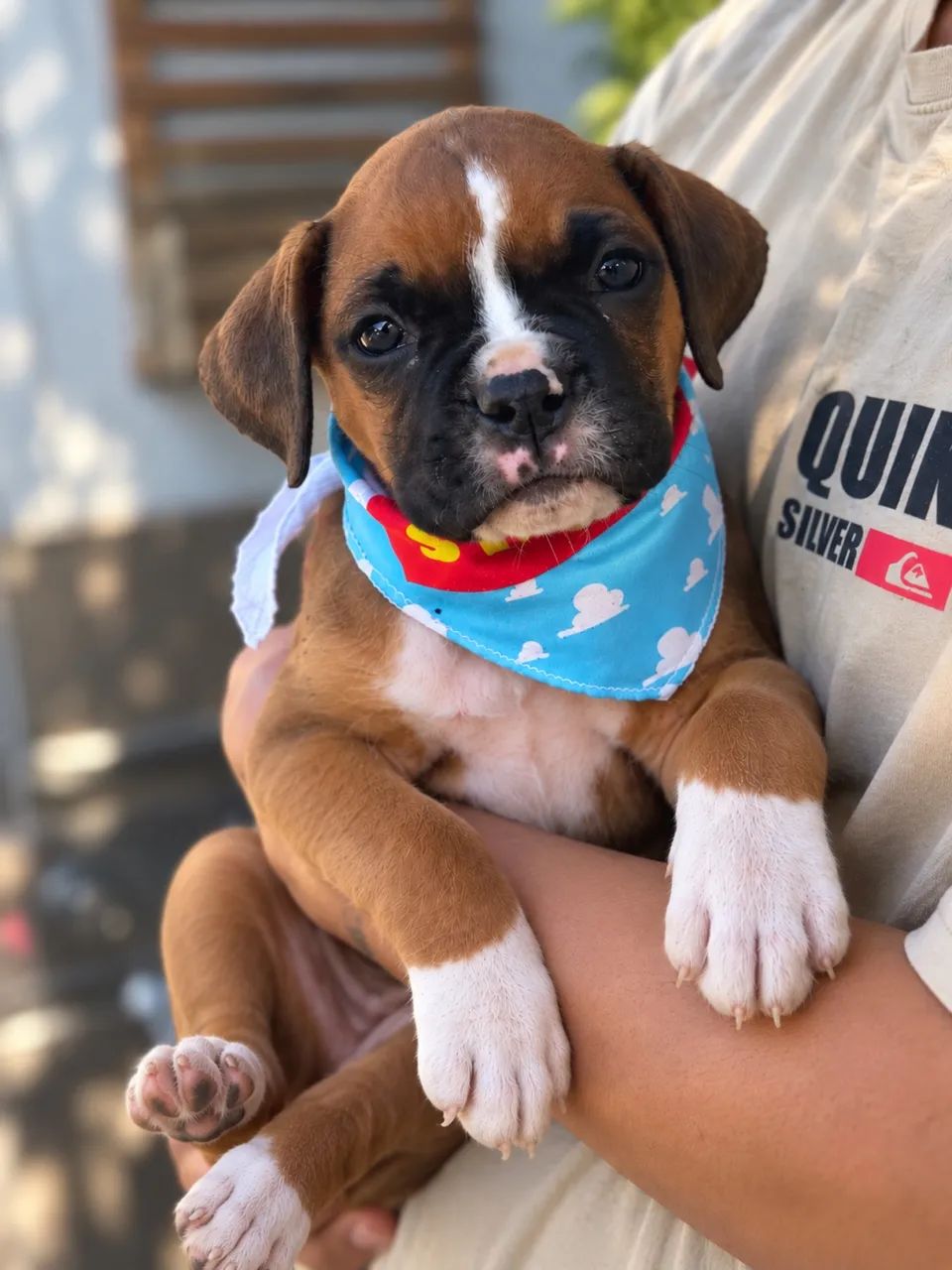 BOXER PARCELAMOS  - Foto 4