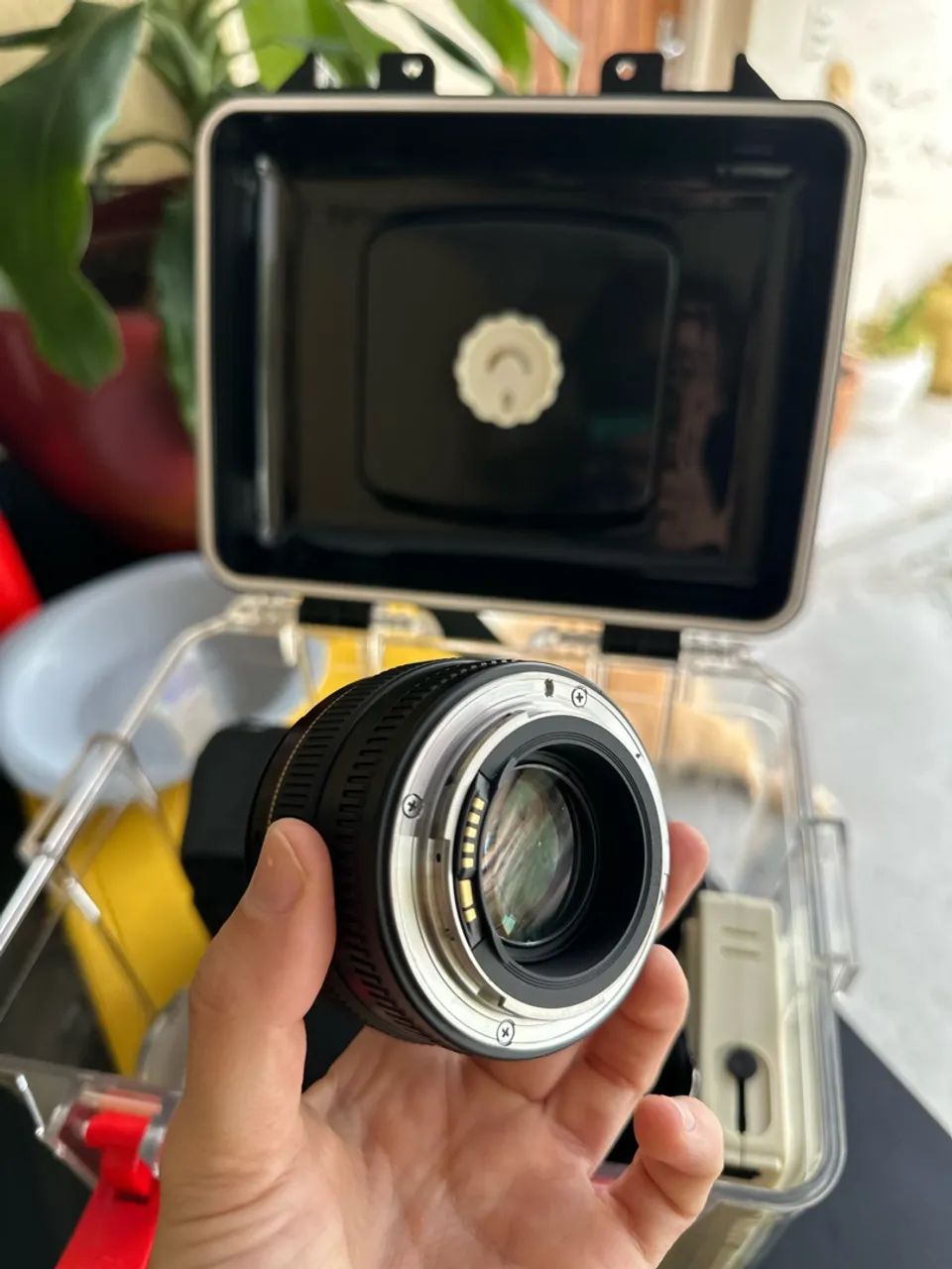 Canon 50mm 1.4 - Foto 5
