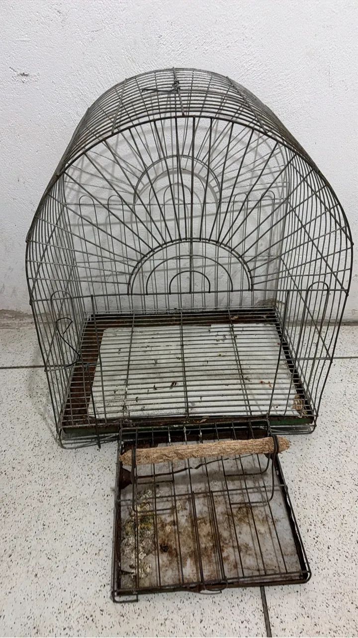Gaiola de loro em bom estado  - Foto 2