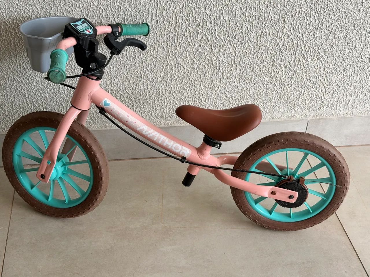 Bicicleta de equilíbrio. 