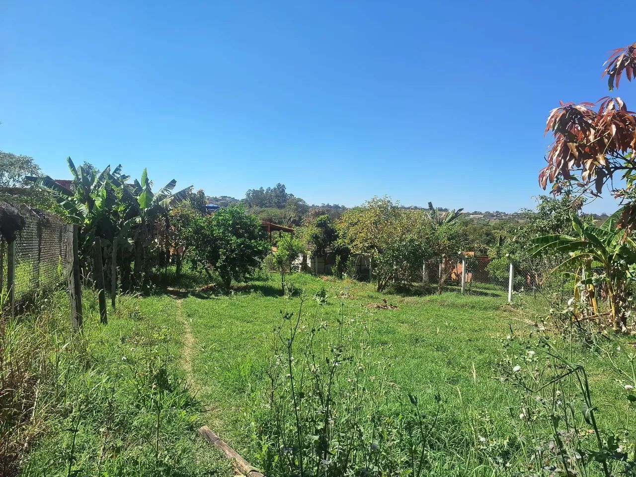 Vendo ou troco chacara bananal ipero  - Foto 5