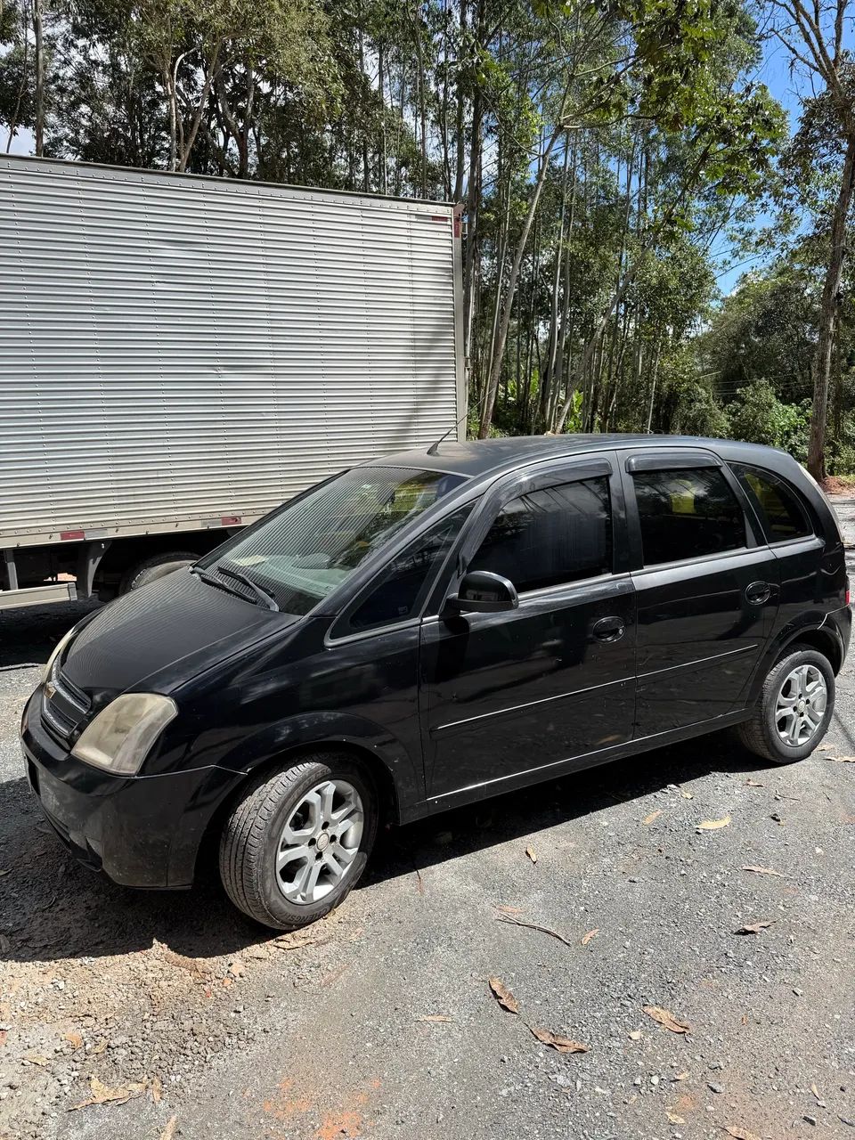 Chevrolet Meriva Meriva Maxx 1.4 MPFI 8V ECONOFLEX 5p 2010