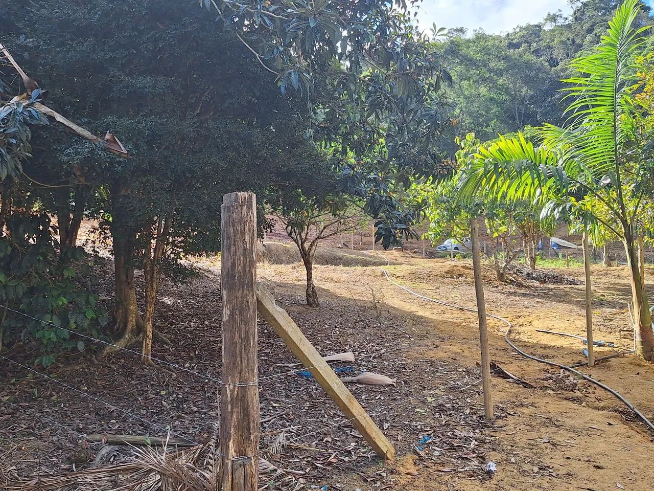 Chácara  - Foto 2
