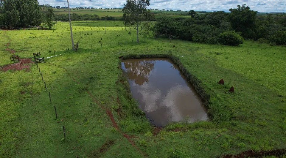 Foto - Campo Grande - Universitário