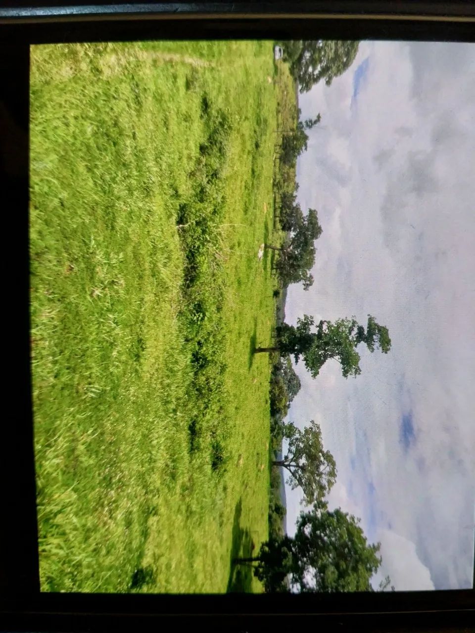 Fazenda com 20 alqueires - Foto 4