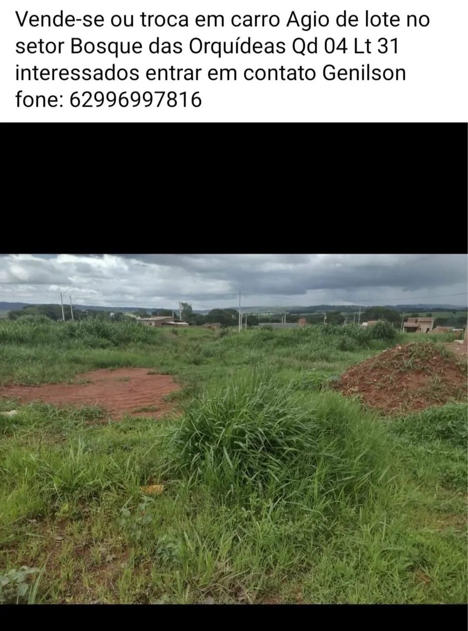 Foto - Goiânia - St Bueno