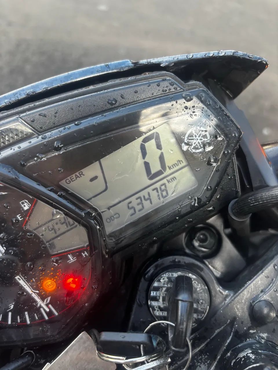 Mt 03 2018, nova e linda - Foto 2