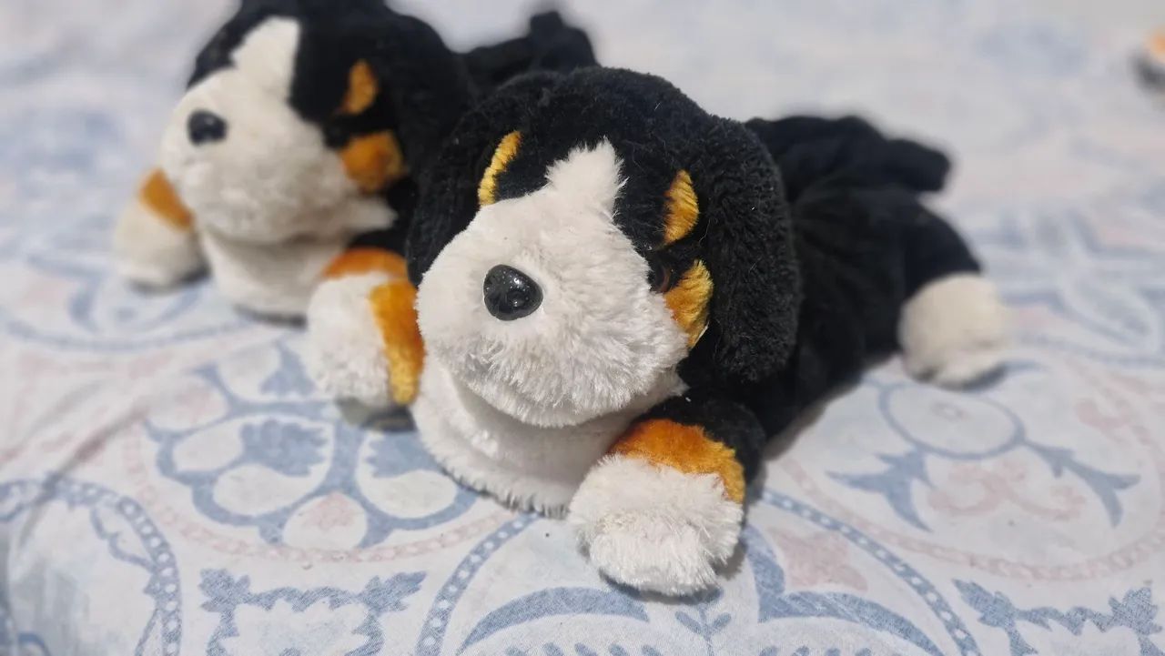 Pantufa Cachorro NOVA