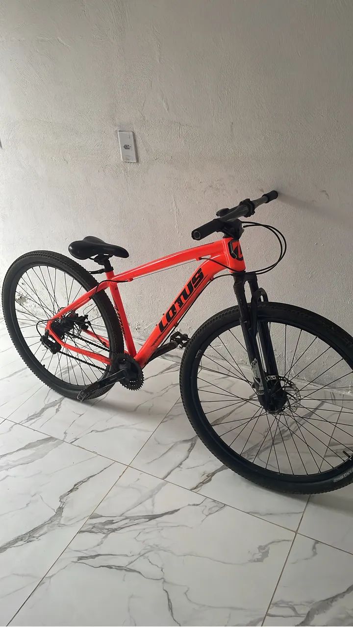 Bicicleta aro 29 