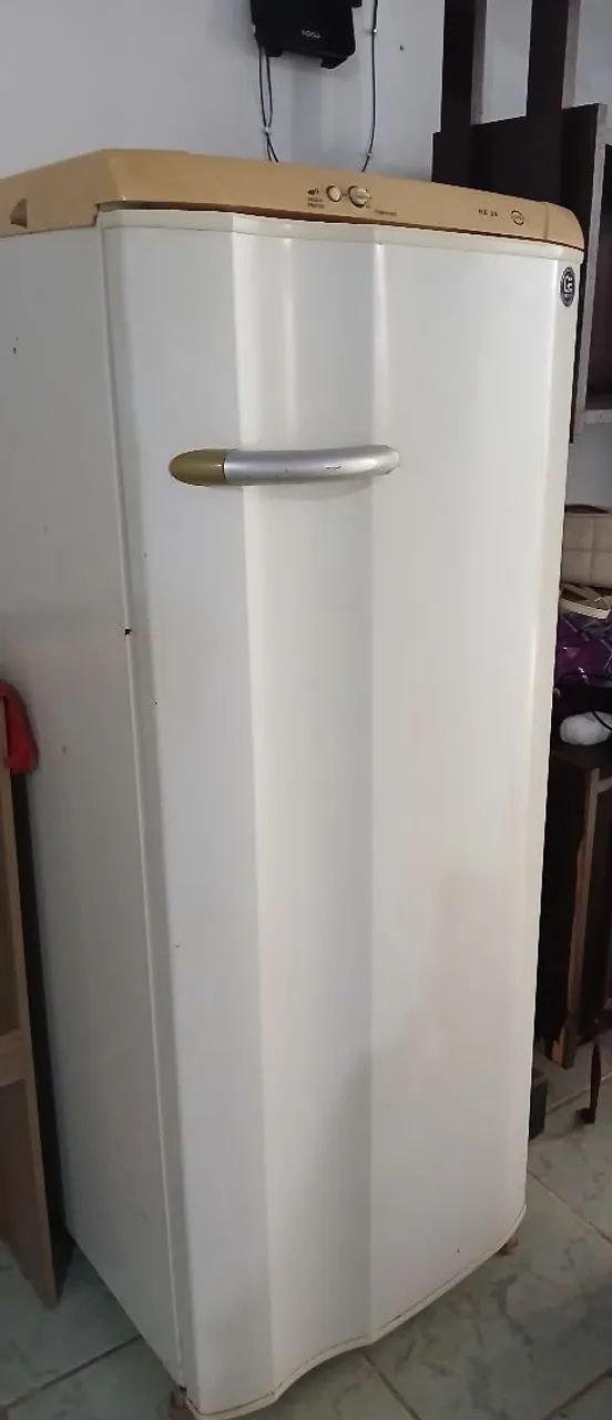 Vendo geladeira 