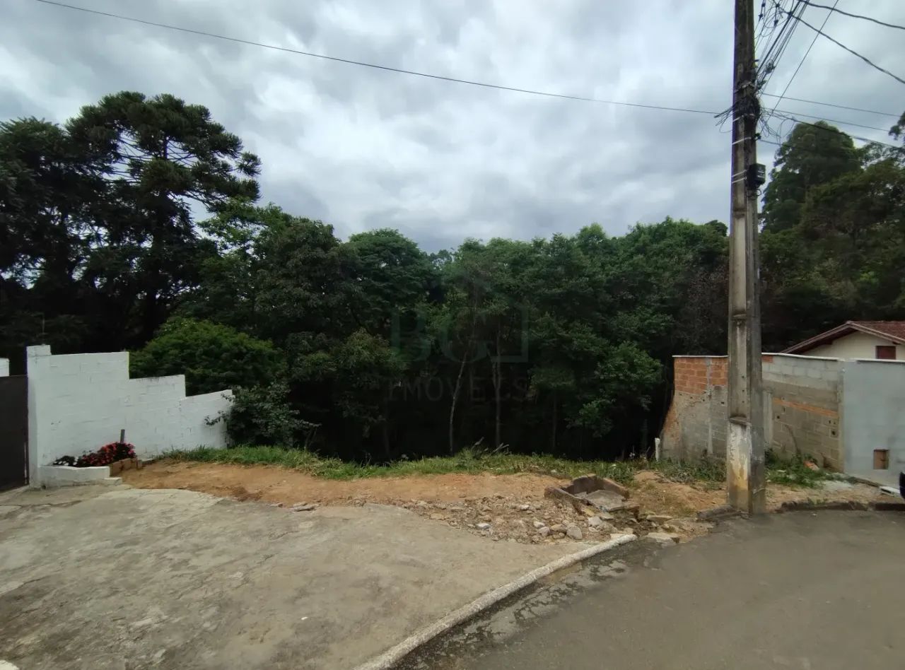 Terrenos Padrão em Caldas