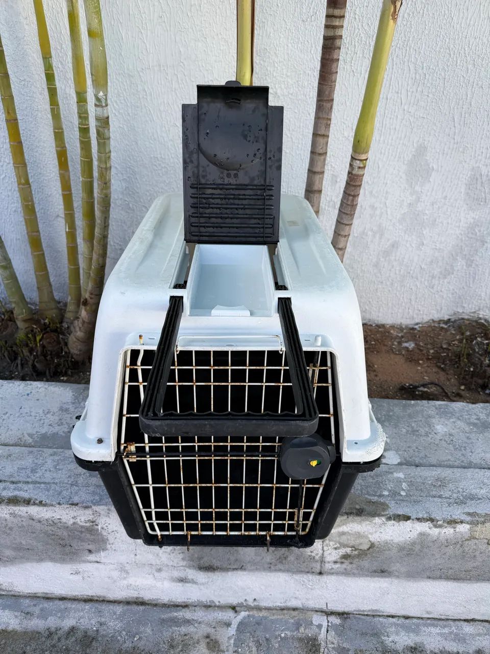 Caixa transporte cães e gatos  - Foto 4