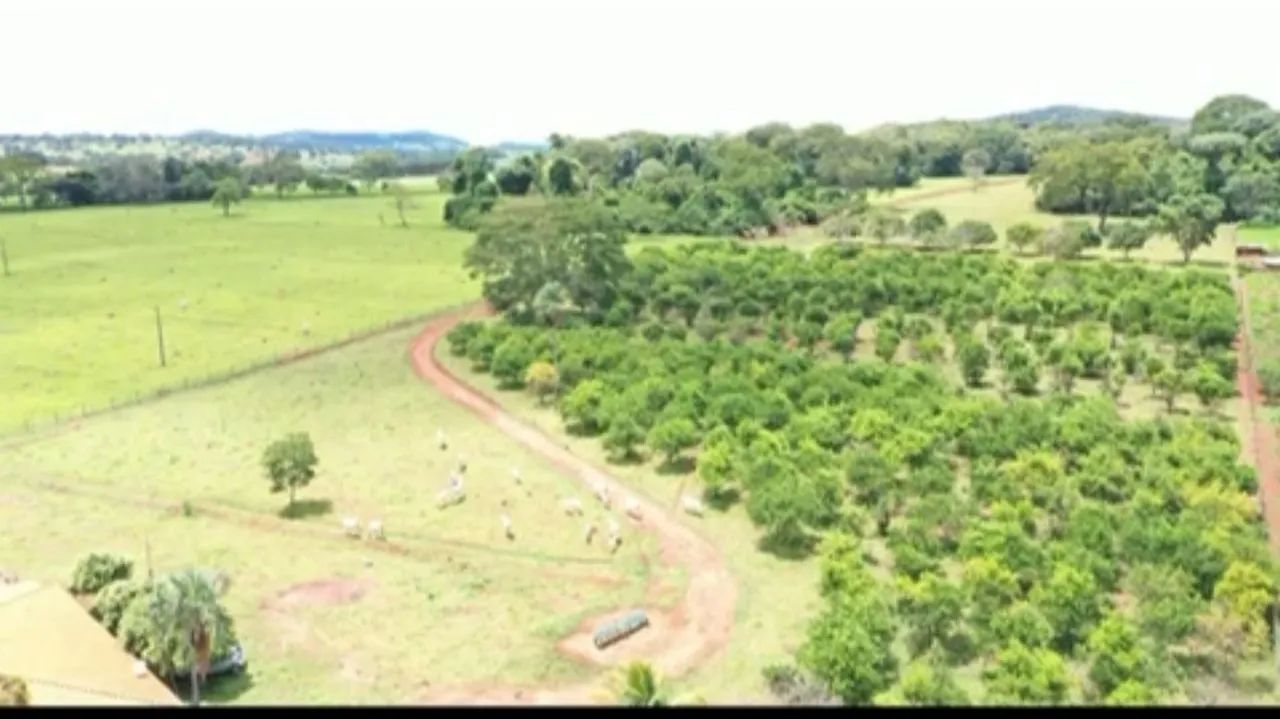 Foto - Goiânia - Conjunto Vera Cruz
