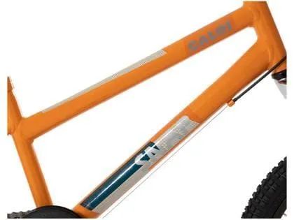 Bicicleta - Foto 3