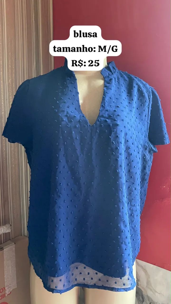 Blusa