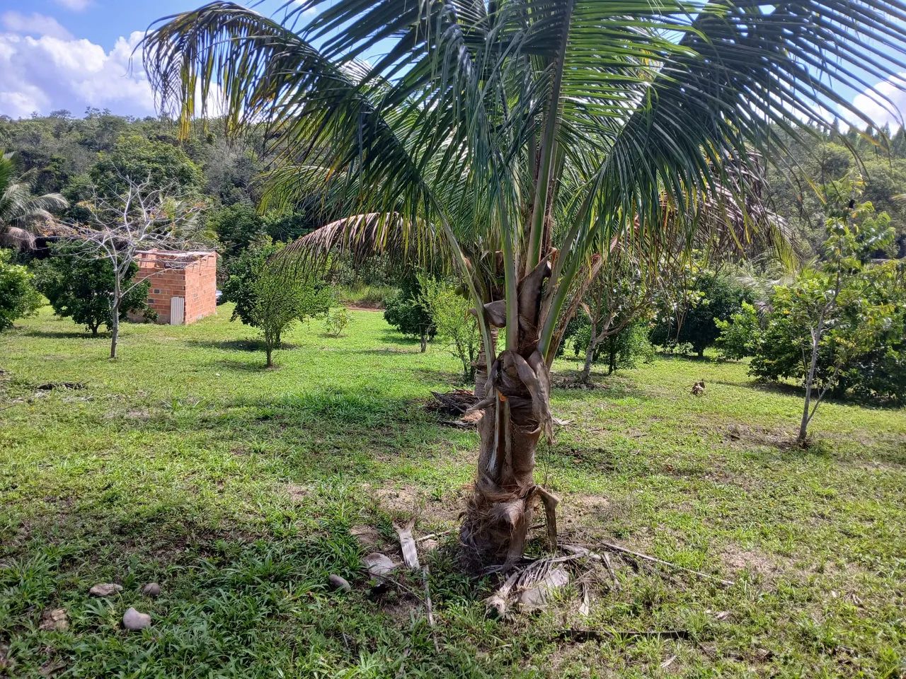 Vendo terreno em Catu Ba. - Foto 4
