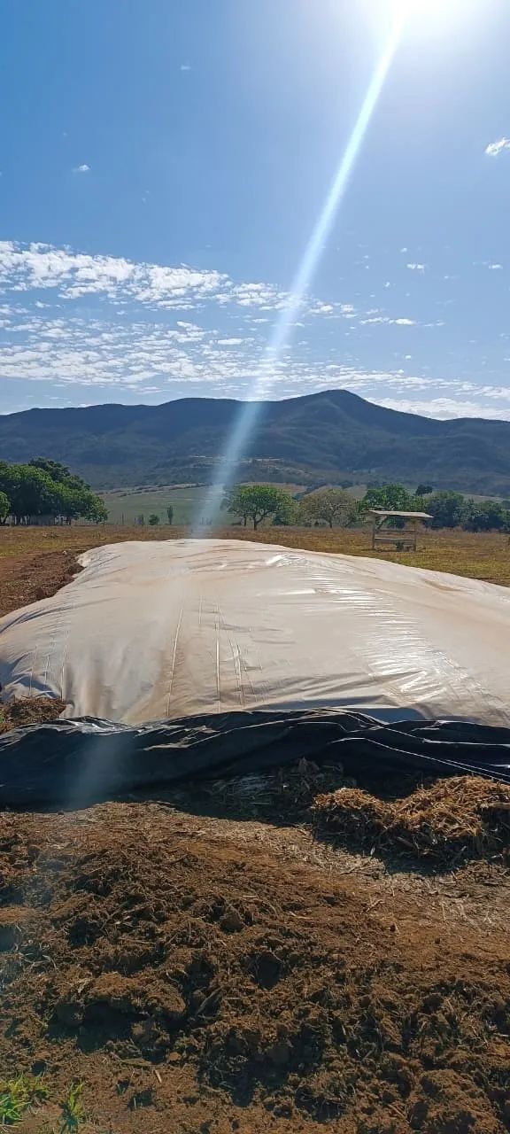Silo de milho - Foto 2