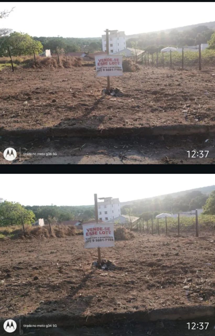 LOTE FFLORESTAL 